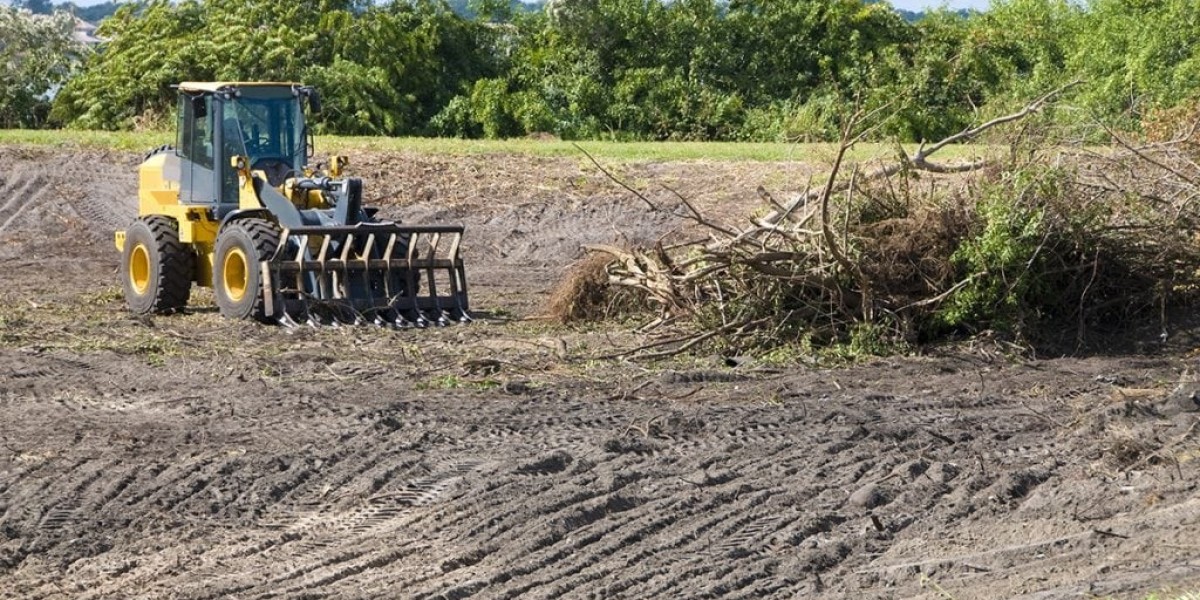 Reasons Why Dead Trees Need to Be Removed and Why You Should