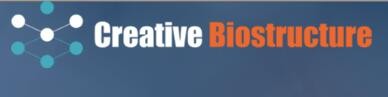 creativebiostructure