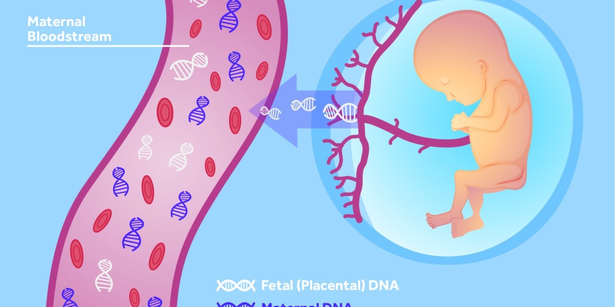 Non-Invasive Prenatal Testing Market Research 2022-2032 with Outlook on Industry Share & Growth