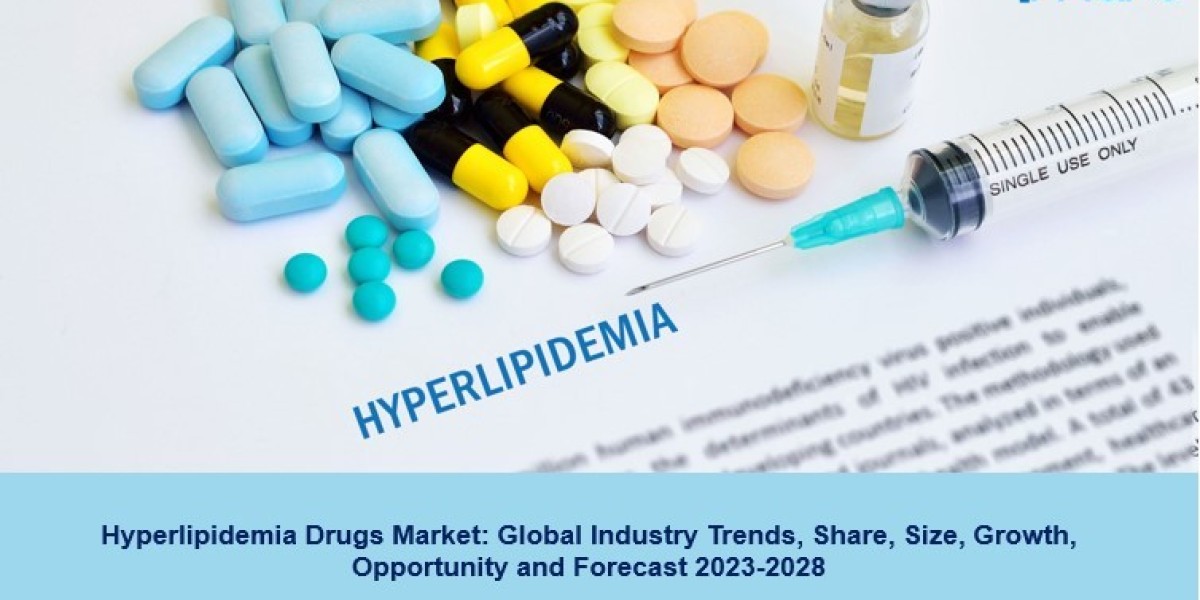 Hyperlipidemia Drugs Market 2023 | Size, Trends, Demand, Growth And Forecast 2028