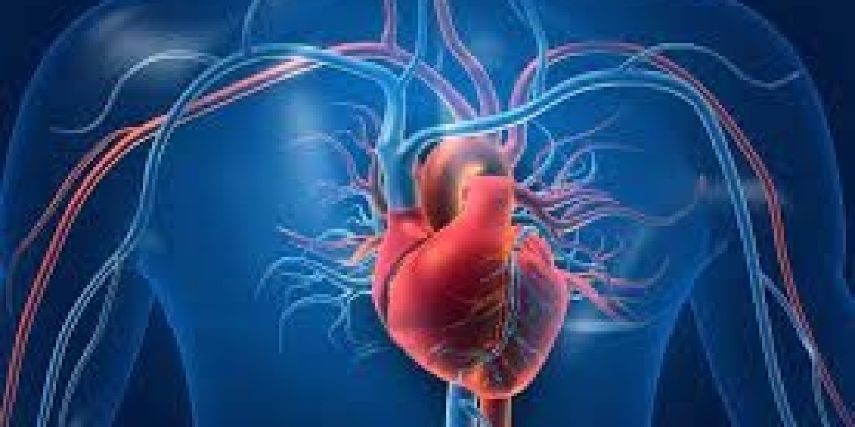 Acute Coronary Syndrome Market Share, Epidemiology, Analysis & Trends 2023-2033