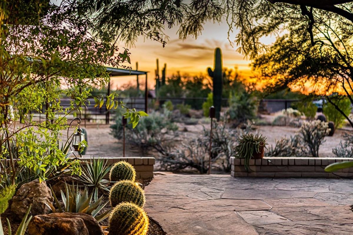 9 Innovative Landscaping Designs for Desert Homeowners - Alternative Mindset