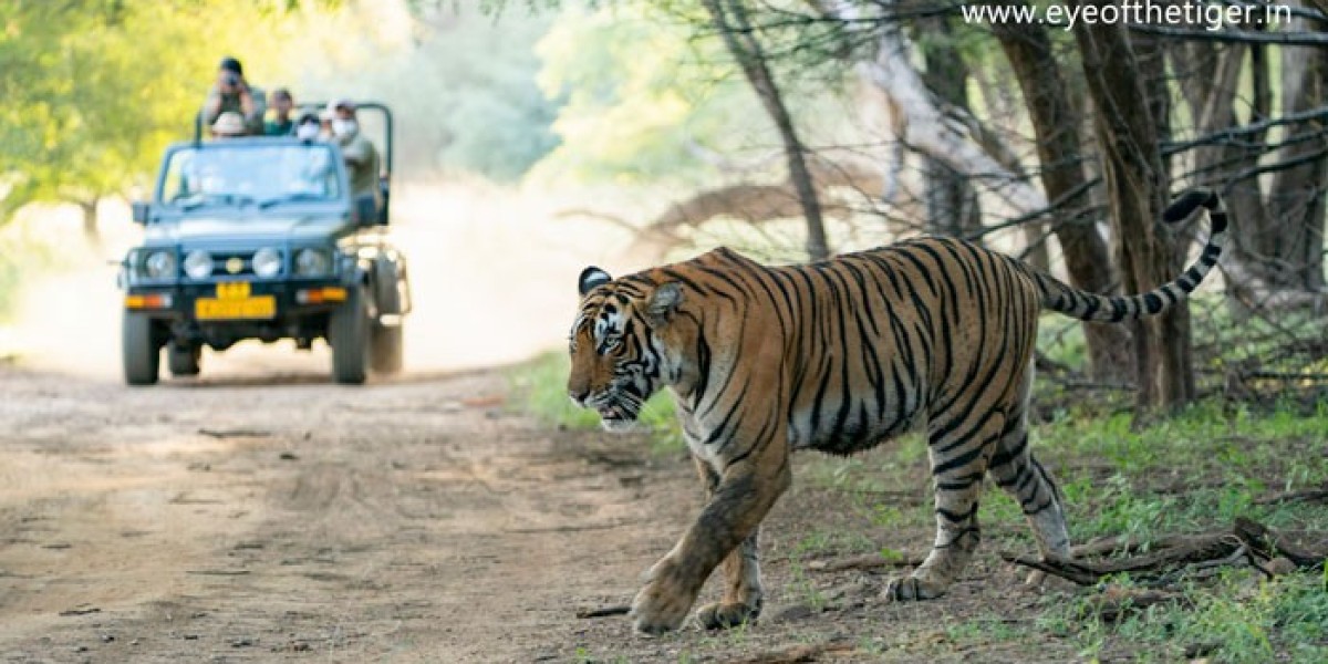 How to do the Ranthambore Safari?