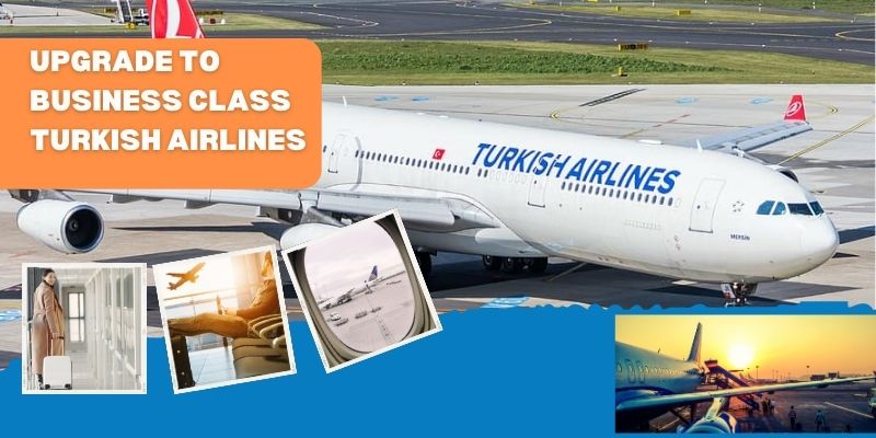 Upgrade to Business Class Turkish Airlines