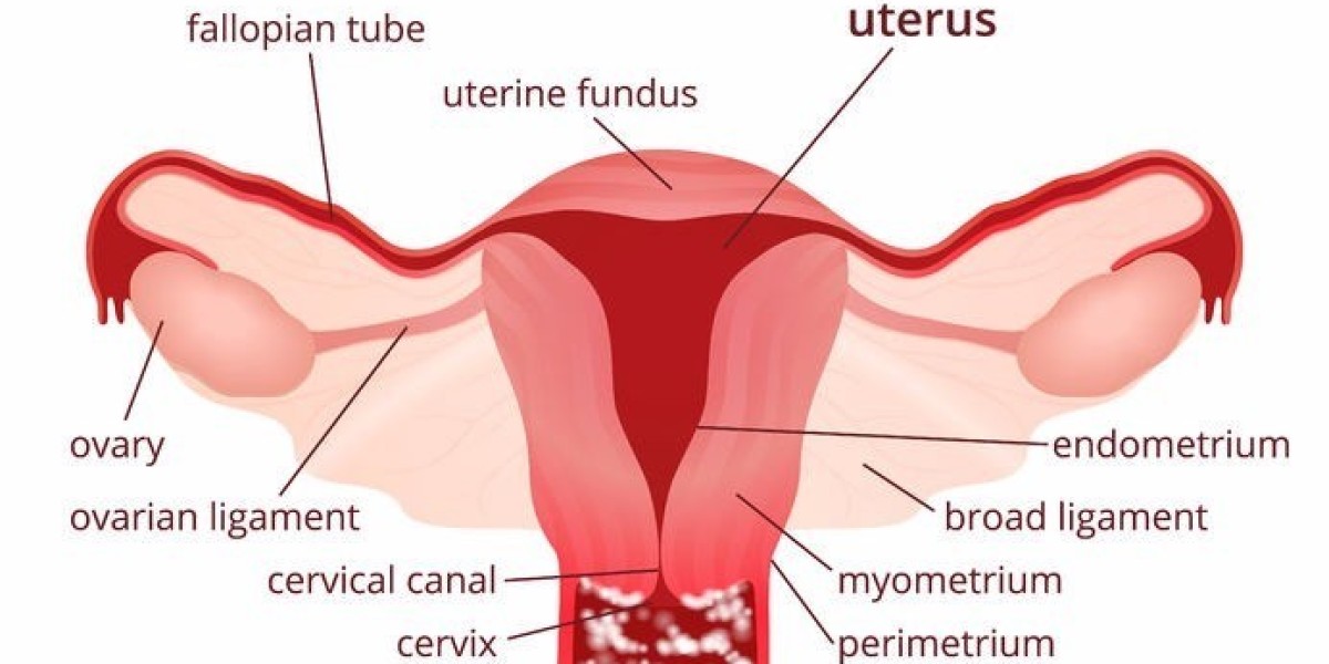 Vulvovaginal Candidiasis Market Size and Growth Rate Analysis for 2023-2033| by IMARC Group