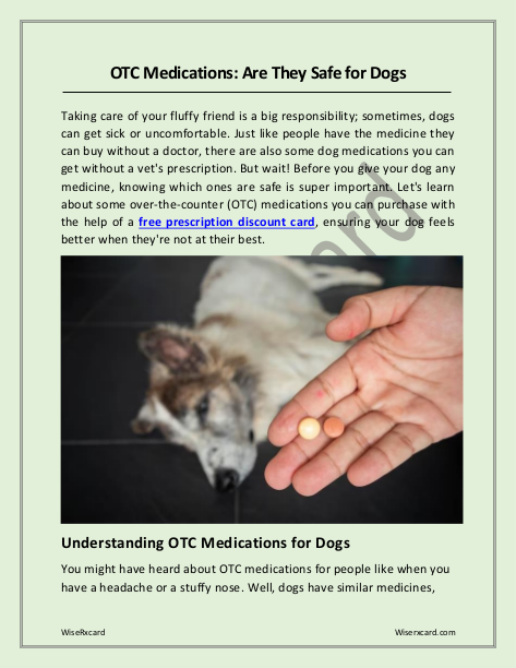 OTC Medications Are They Safe for Dogs