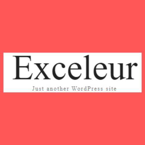 exceleur net