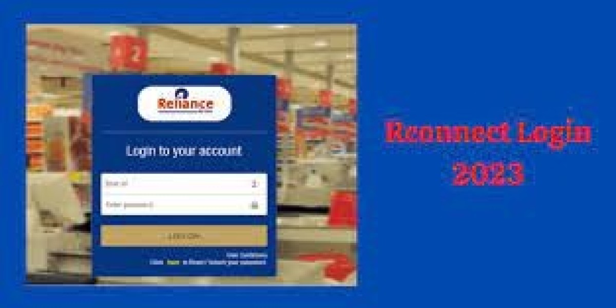 What Does the Reliance Employee Pay Slip Contain?