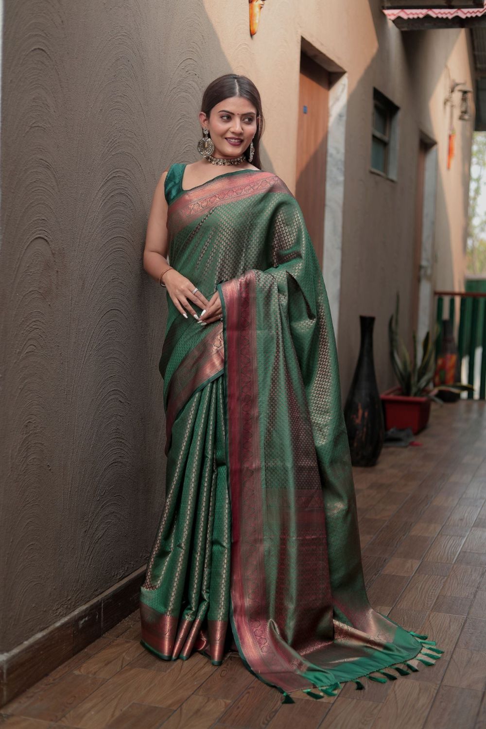 Why are Kanjivaram Sarees Special? – Iraah.Store