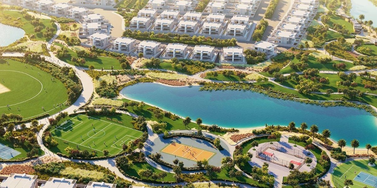 Unveiling Educational Opportunities: Schools Near Damac Hills