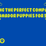 Food App For Restaurant Consulting Services