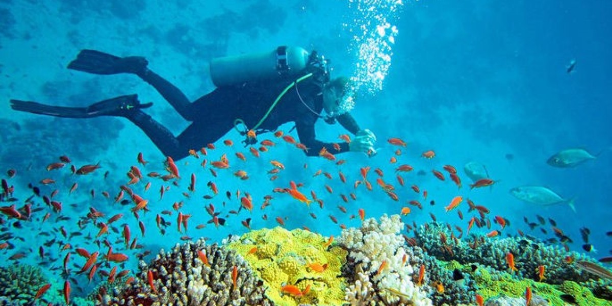 Scuba Diving in Andaman - Explore the Underwater Wonders