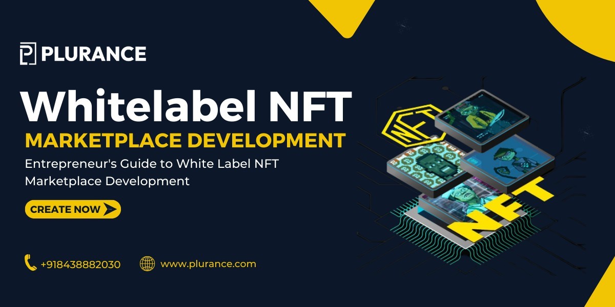 Entrepreneur's Guide to White Label NFT Marketplace Development