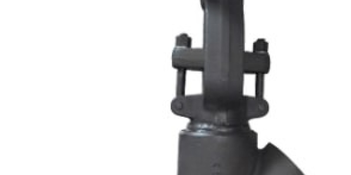 Y Type Globe Valve Manufacturer in India