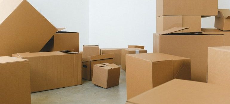 Debunking Common Misconceptions About Professional Loading and Packing Services - Bloggerswheel.com