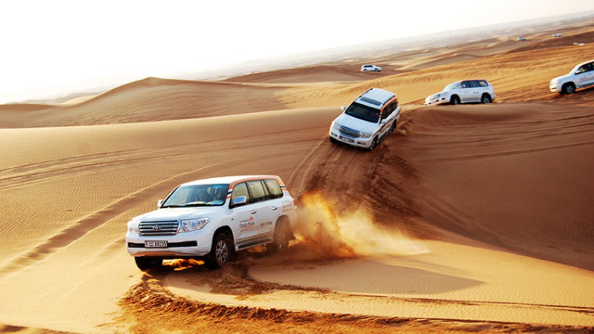 desert safari