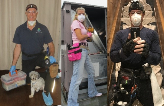 Decoding Mold Testing Services: When and Why You Need Professionals - Openinfocompany.com