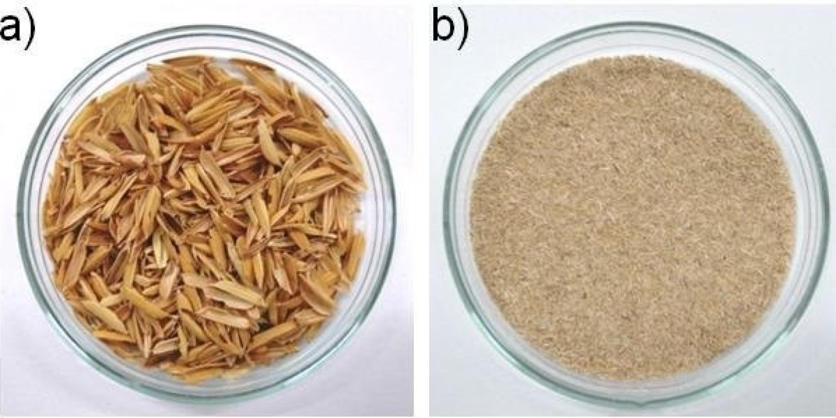 Setting up a Rice Husk Ash Manufacturing Plant: Project Report 2024 and Business Plan