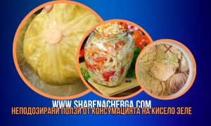 Кисело зеле: Тайната е в количеството сол… Вижте колко точно сол се слага… | Здравето не е всичко, но без здраве всичко е нищо... ?