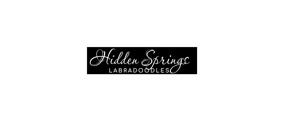 Hidden Springs Labradoodles