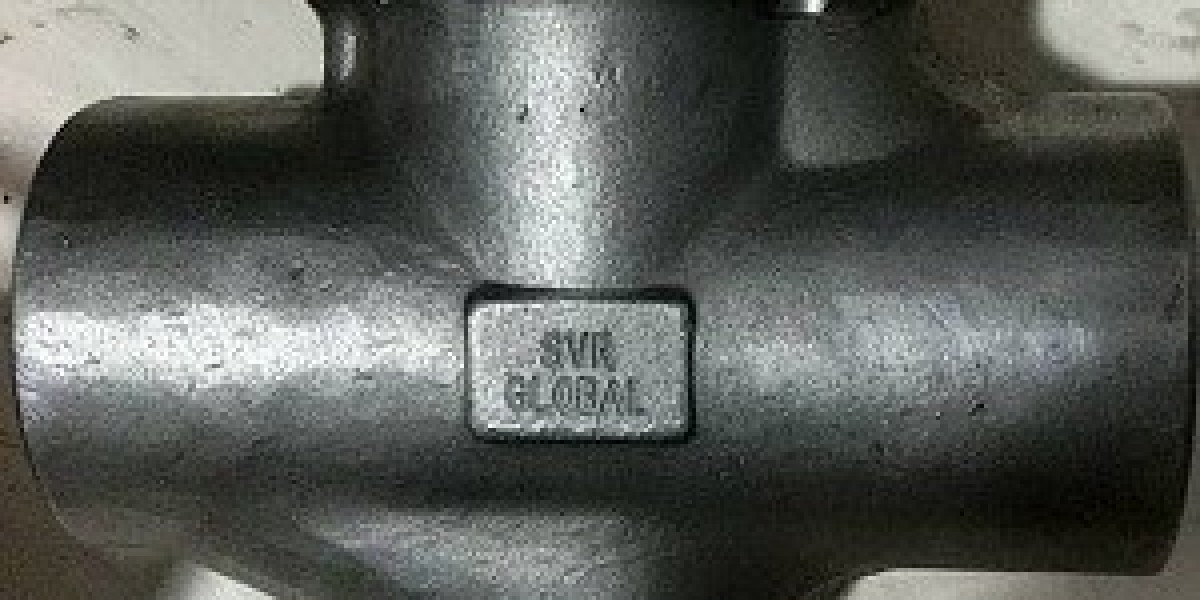 Thermodynamic Steam Trap supplier in Australia