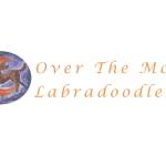 overthemoonlabradoodle