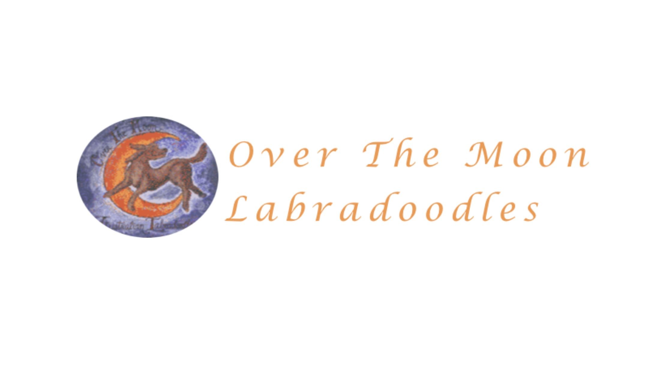 overthemoonlabradoodle