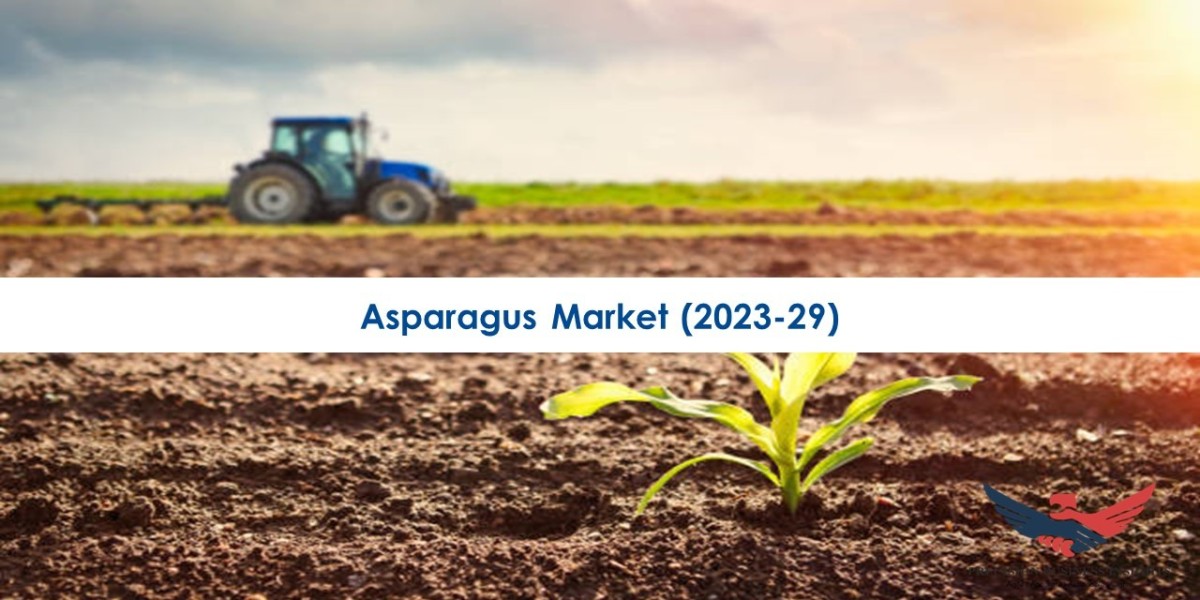 Asparagus Market Regional Analysis and Growth Prospects 2023