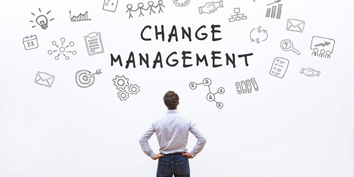 Navigating Change: Strategies and Insights in Change Management