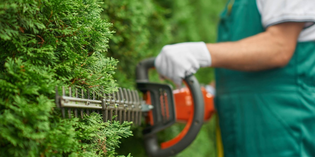 All Trees and Garden: Transforming Sydney's Green Spaces with Expert Gardening Services