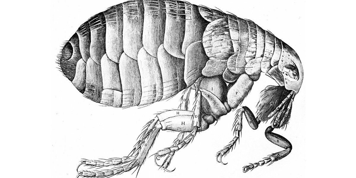 Plague Market Share 2023 | Forecast till 2033