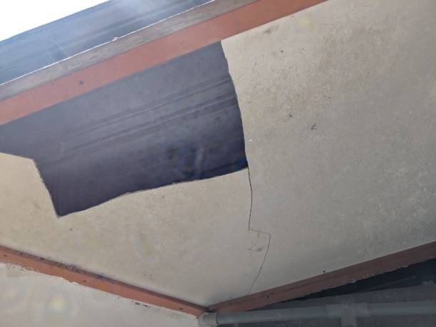 Panda Insulation 
