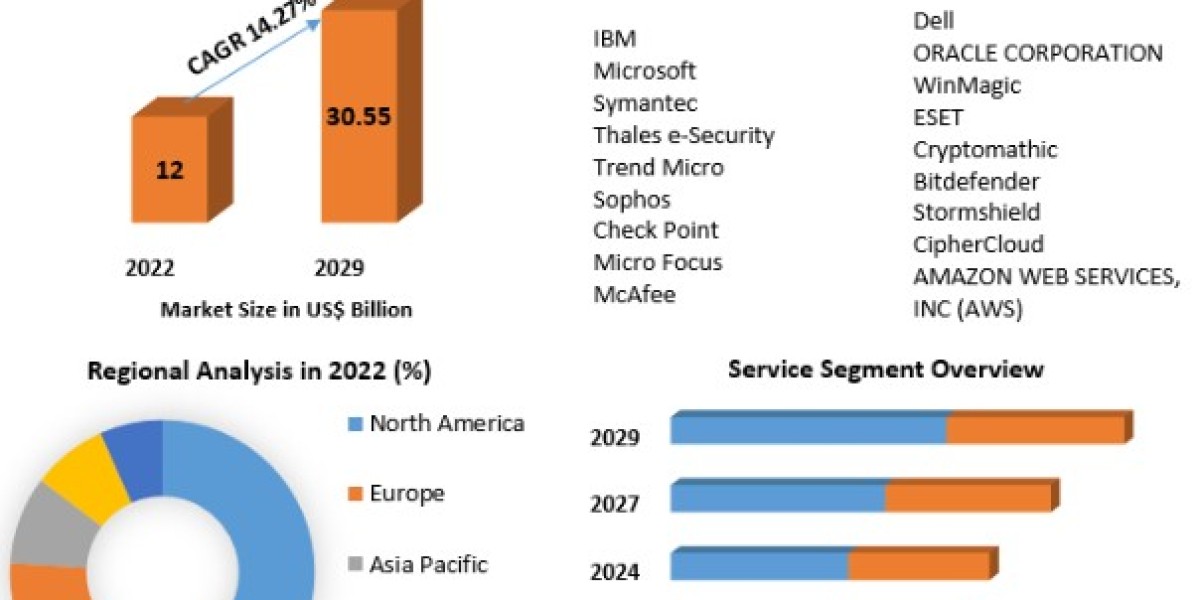 Encryption Software Market Business Guidelines, Promising Industry-2029