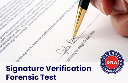Can Signature Verification Prevent Fraud?
