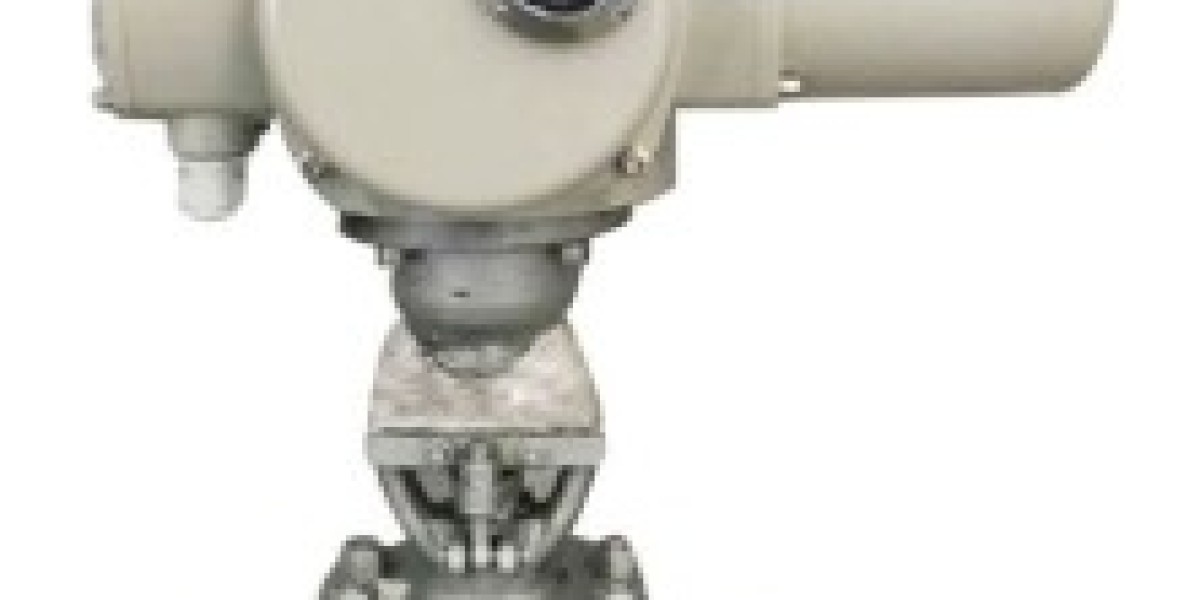 Electric Actuated Globe Valve Supplier in Mexico