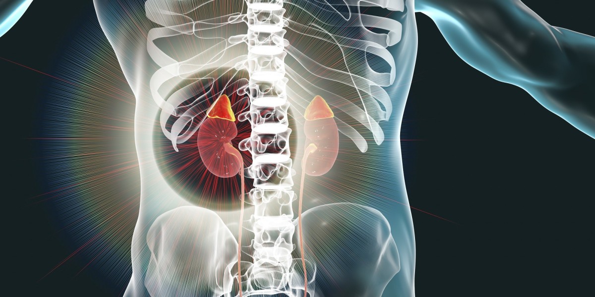 Autoimmune Addison Disease in Focus: Recent Discoveries and Future Directions