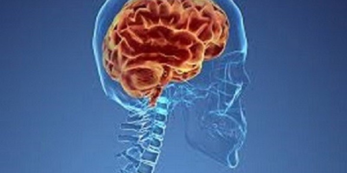 CNS Lymphoma Market Share, Epidemiology, Analysis & Trends 2023-2033