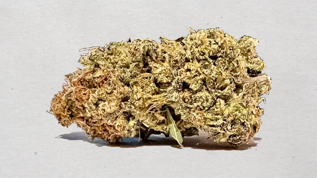 Best quality Cannabis in Seattle White Rabbit Cannabis Dispensary