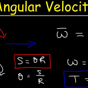 The Education - Education Is Life