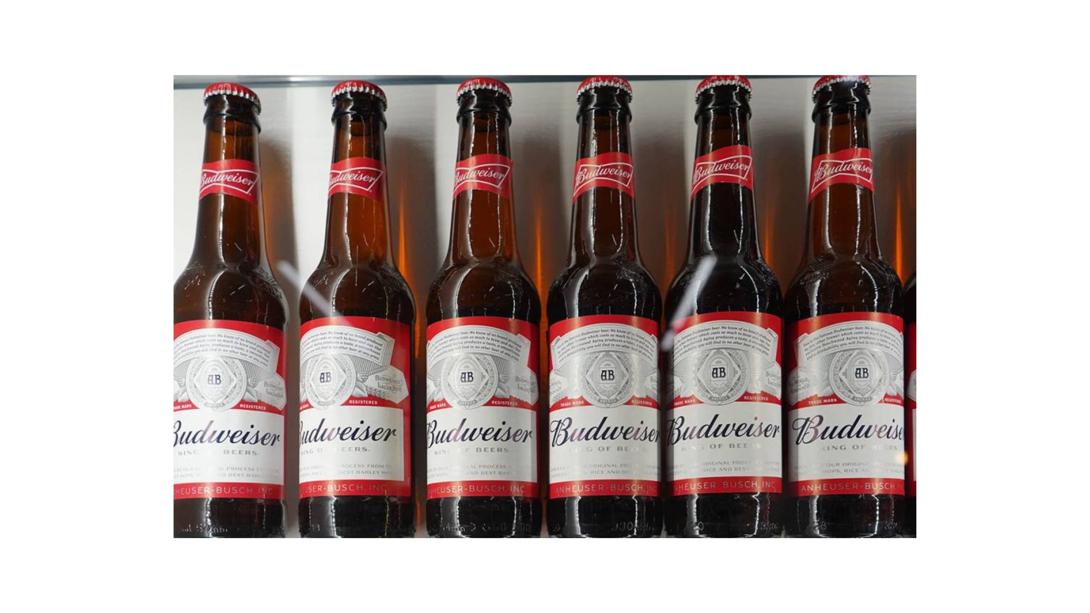 Late-Night Beer Delivery: A Lifesaver for Events and Celebrations | Zupyak