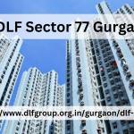 DLF Sector 77 Gurgaon