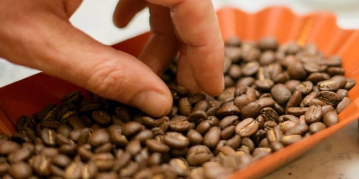 What Design Elements Make Coffee Roasting Sample Trays Beautiful?