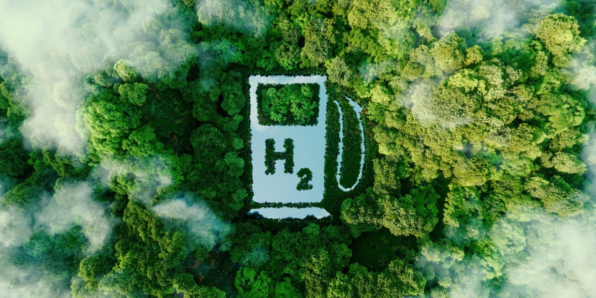 Hydrogen Harmony: Balancing the Energy Equation with Green Solutions