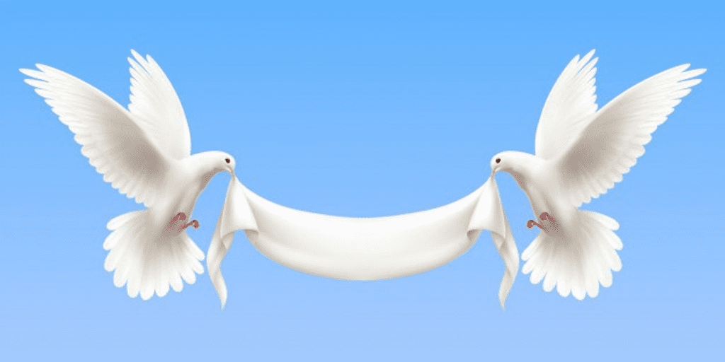 Unveiling the Power of White Label Mobile App Development for Social Media Platforms