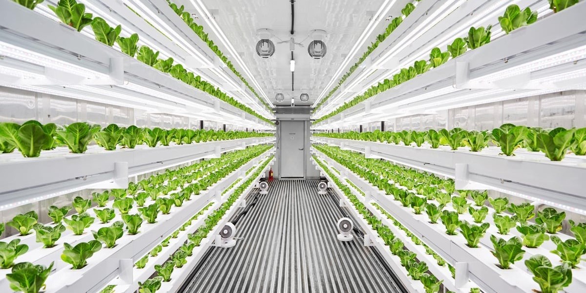 The Rise of Vertical Agriculture: Market Analysis and Opportunities