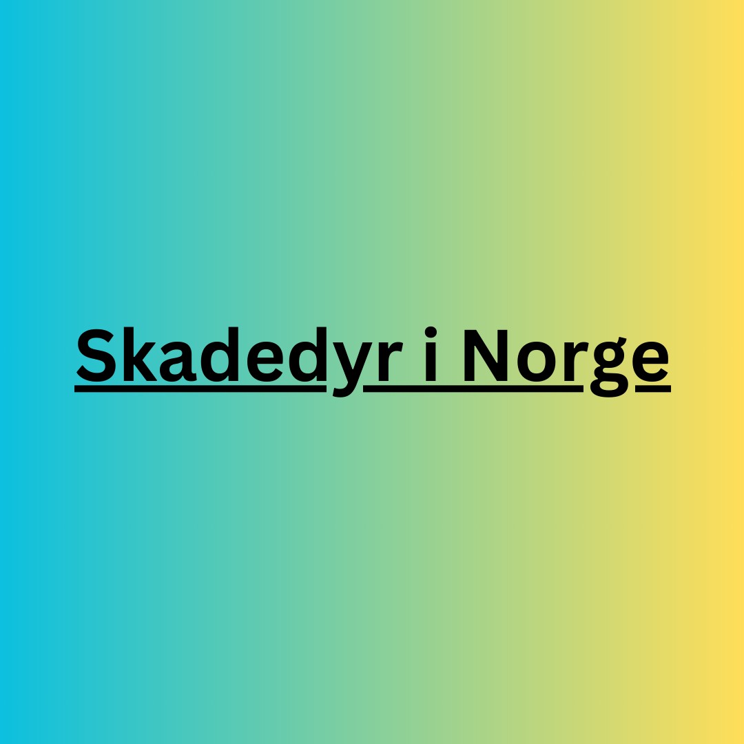 skadedyrinorge