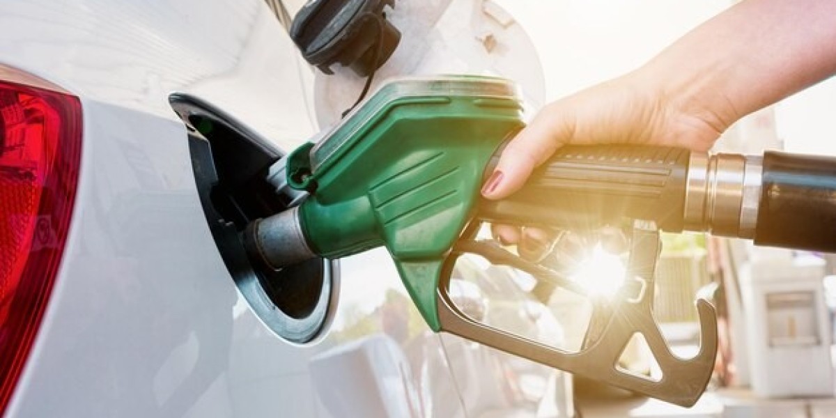 Beyond the Threshold: Biodiesel Market's Future Trends Gateway