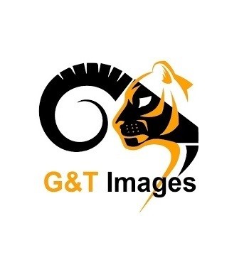 GandTImages