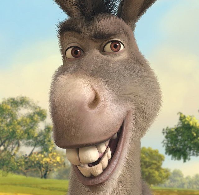 Brian Burns