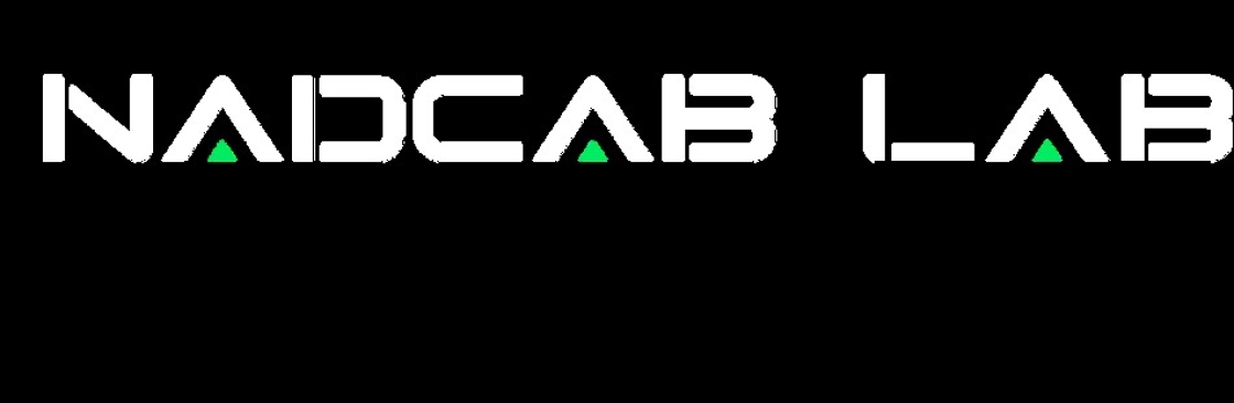 Custom Blockchain Development Service